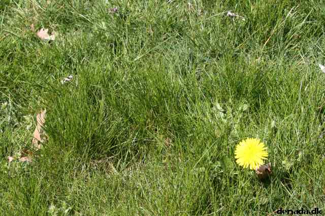 * Image 20