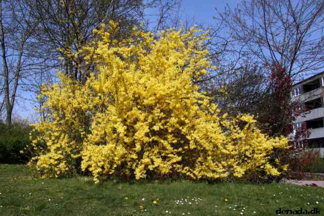 * Image 21