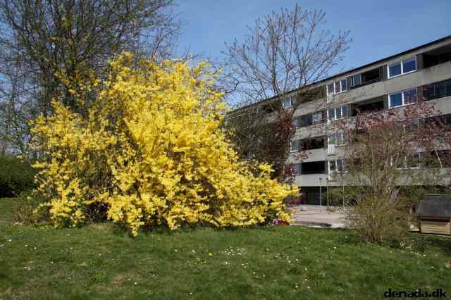 * Image 25