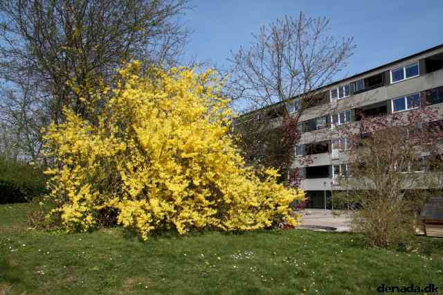 * Image 27