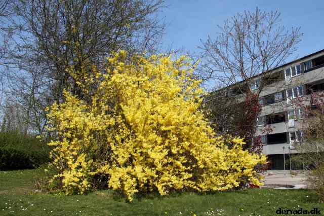 * Image 28