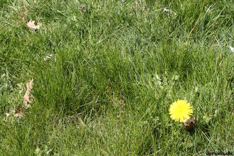 * Image 20