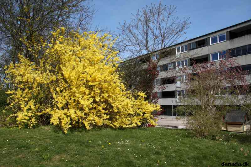 * Image 24