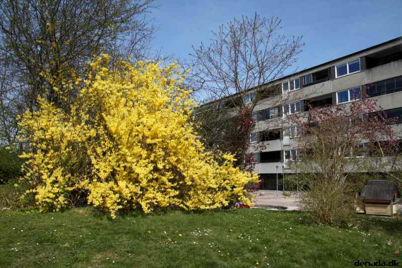 * Image 26