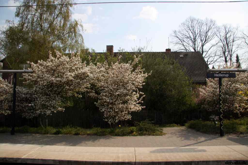 * Image 1