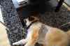 IMG_8869m.jpg - 2009:05:20 17:03:53