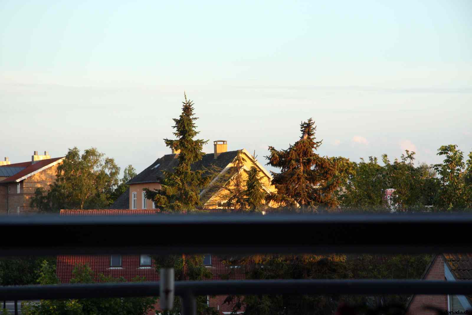 * Image 49