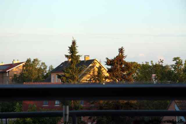 * Image 49