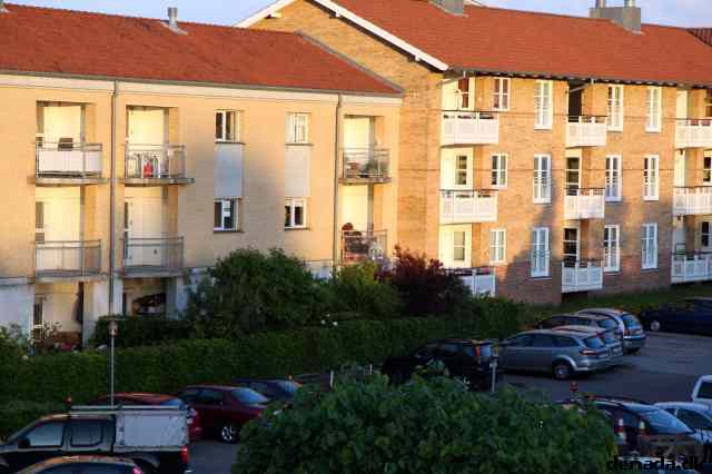 * Image 51