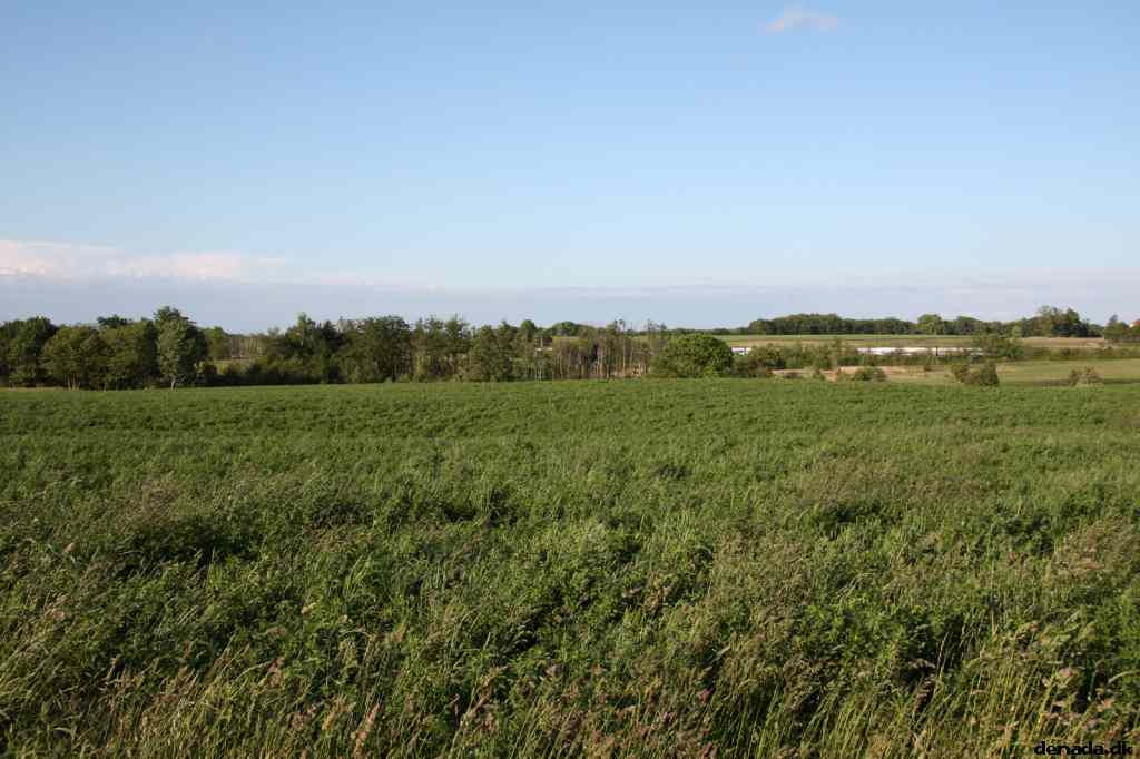 * Image 6