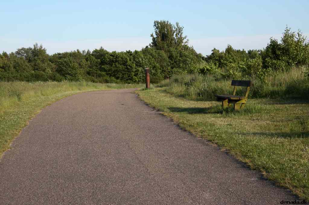 * Image 11