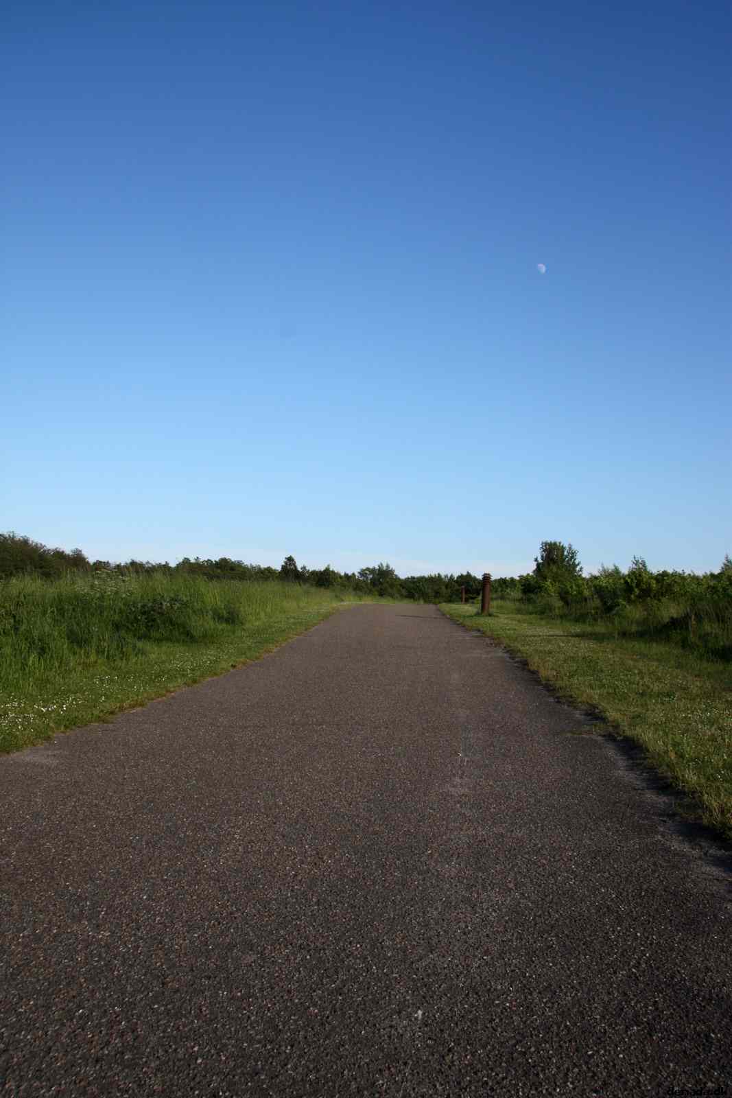* Image 10