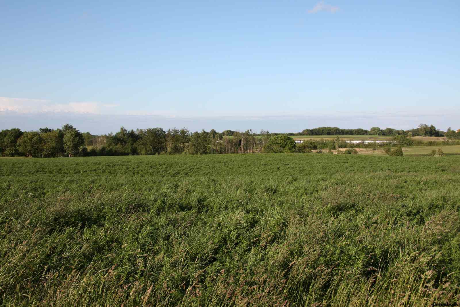 * Image 6