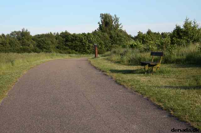 * Image 11