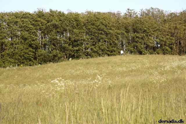 * Image 12