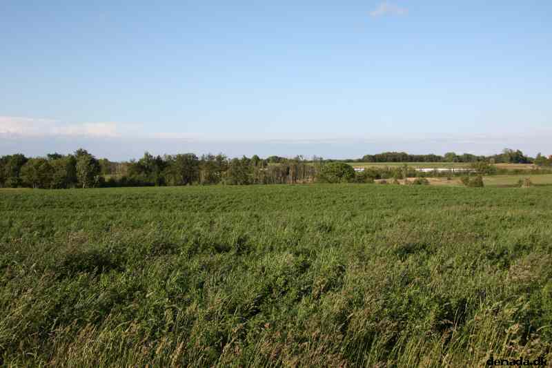 * Image 6