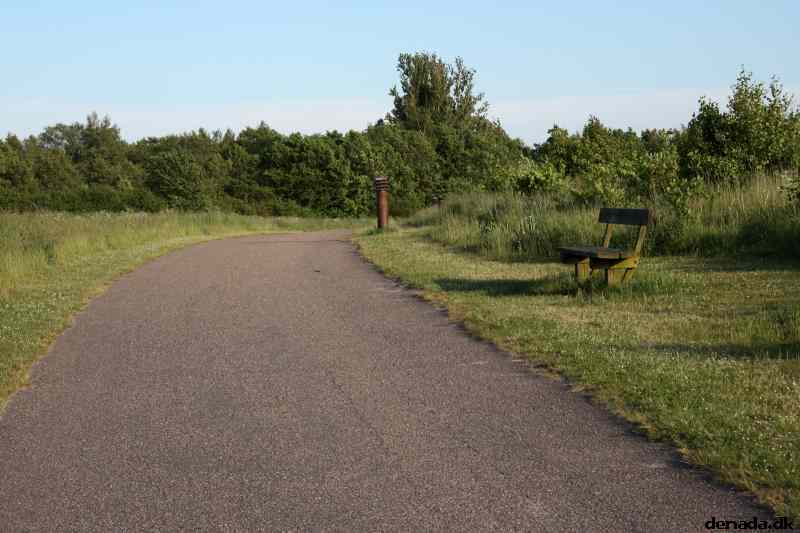 * Image 11