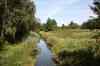 200908010021.JPG - 2009:08:01 12:46:38