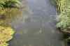 200908010023.JPG - 2009:08:01 12:47:03