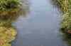 200908010024.JPG - 2009:08:01 12:47:07