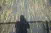 200908010026.JPG - 2009:08:01 12:47:23