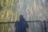 200908010027.JPG - 2009:08:01 12:47:26