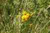 200908010031.JPG - 2009:08:01 12:49:38