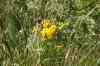 200908010037.JPG - 2009:08:01 12:49:53
