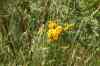 200908010041.JPG - 2009:08:01 12:50:09