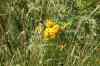 200908010044.JPG - 2009:08:01 12:50:13