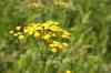 200908010056.JPG - 2009:08:01 12:51:27