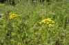 200908010059.JPG - 2009:08:01 12:51:42