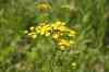 200908010060.JPG - 2009:08:01 12:51:52