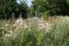 200908010067.JPG - 2009:08:01 12:53:52