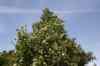 200908010070.JPG - 2009:08:01 12:54:39