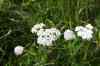 200908010074.JPG - 2009:08:01 12:57:13