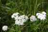 200908010081.JPG - 2009:08:01 12:57:30