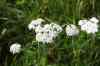 200908010082.JPG - 2009:08:01 12:57:35