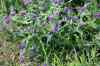 200908010118.JPG - 2009:08:01 13:02:04