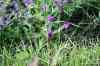 200908010122.JPG - 2009:08:01 13:02:12