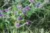 200908010124.JPG - 2009:08:01 13:02:17