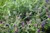 200908010127.JPG - 2009:08:01 13:02:28