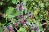 200908010132.JPG - 2009:08:01 13:06:07