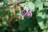 200908010138.JPG - 2009:08:01 13:06:36