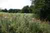 200908010146.JPG - 2009:08:01 13:12:44