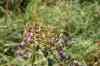 200908010150.JPG - 2009:08:01 13:13:05