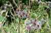 200908010155.JPG - 2009:08:01 13:13:33