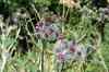 200908010161.JPG - 2009:08:01 13:13:54