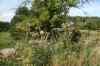 200908010186.JPG - 2009:08:01 13:17:17