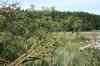 200908010190.JPG - 2009:08:01 13:18:13